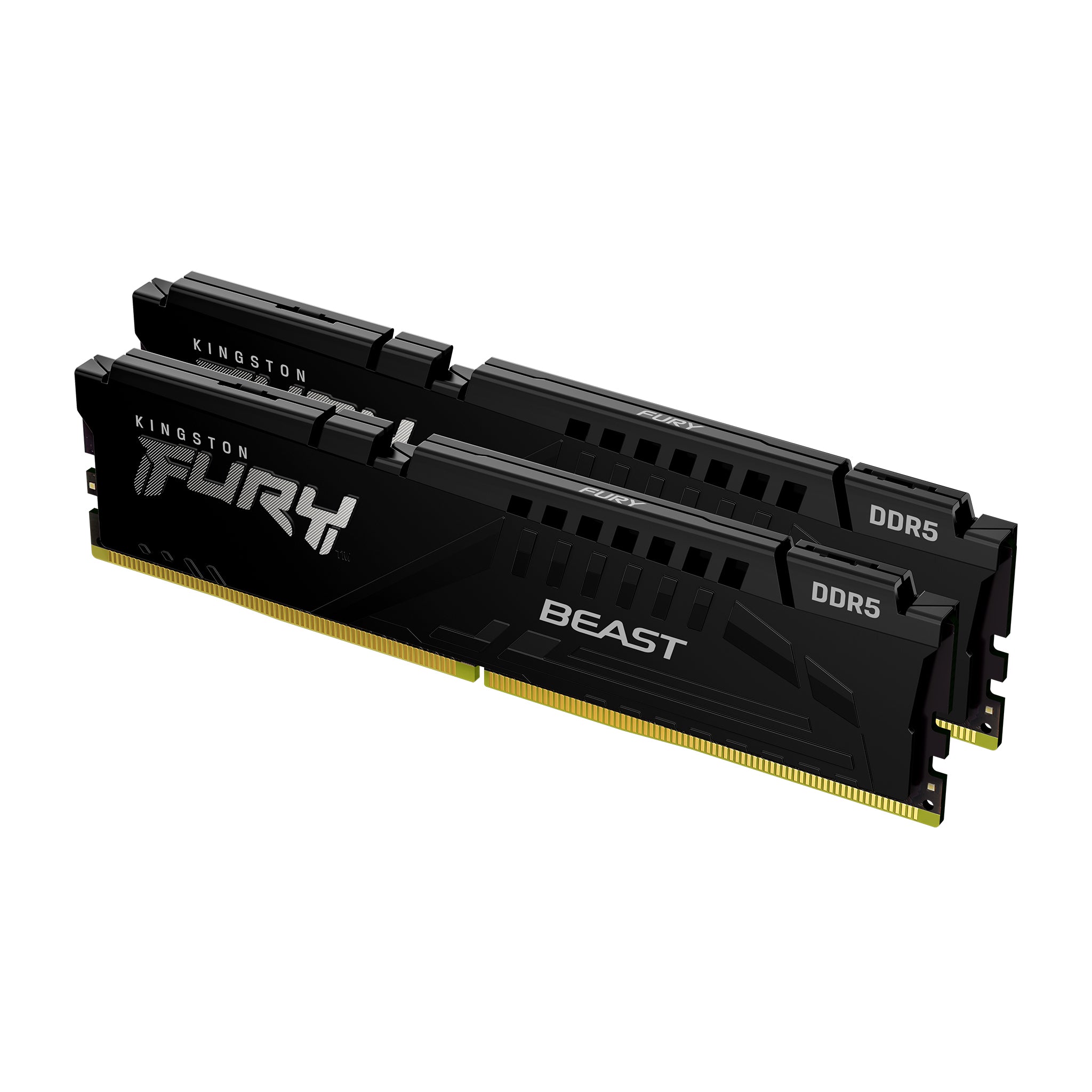 16GB 2x8GB 5600MT/s DDR5 CL36 DIMM FURY Beast Black EXPO