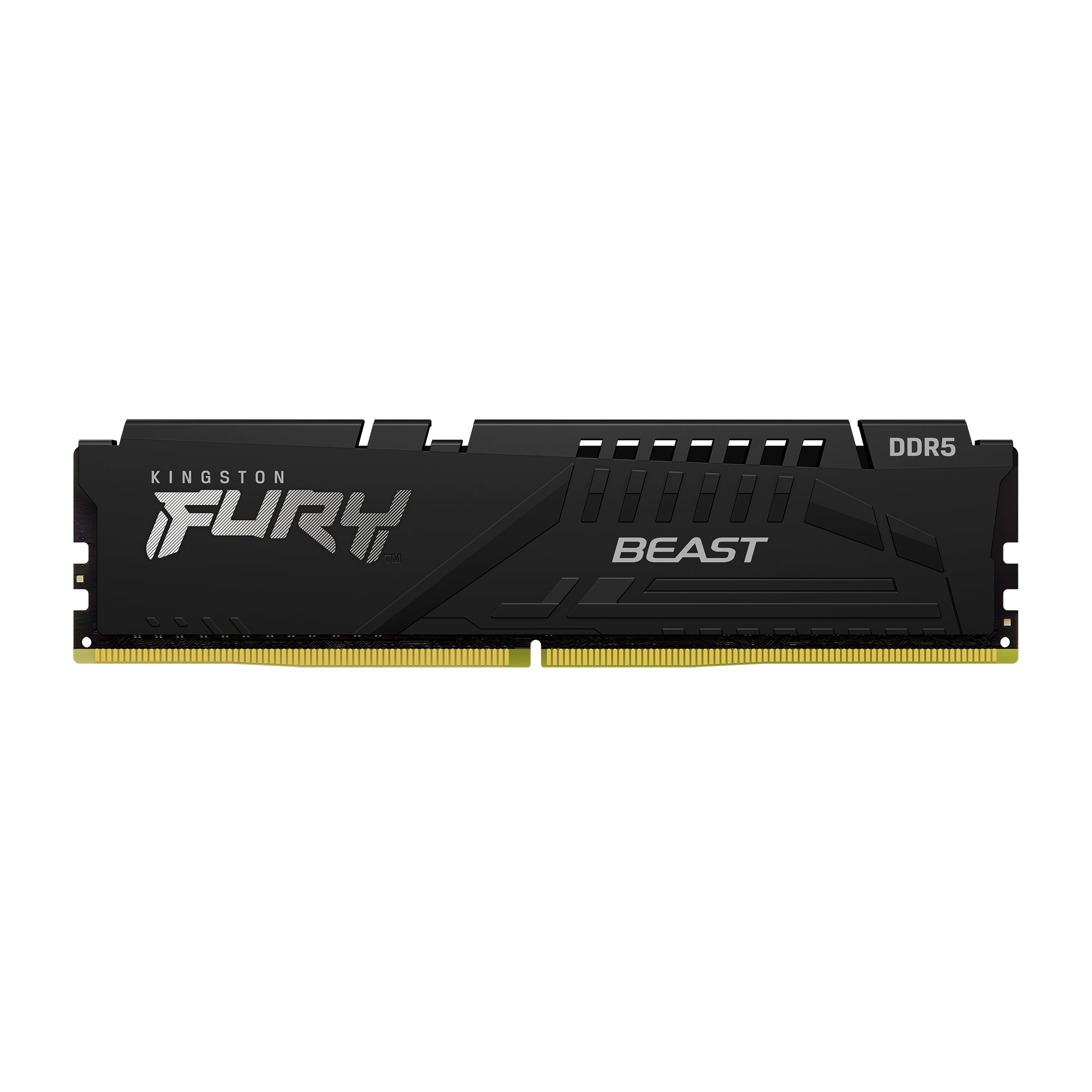 Memoria RAM Kingston FURY Beast Black EXPO DIMM DDR5 1x8GB 5600MT/s CL36